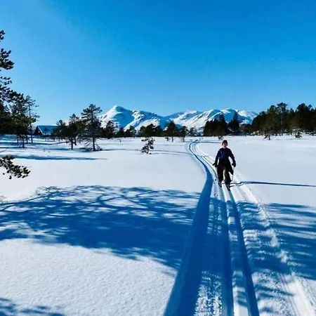 Ny I Malangen * Nordby