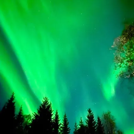 Ferienhaus Ny I Malangen *