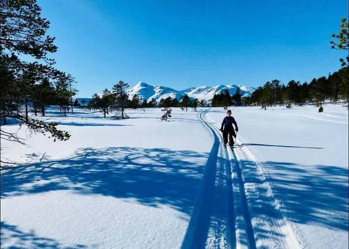 Ny I Malangen * Nordby